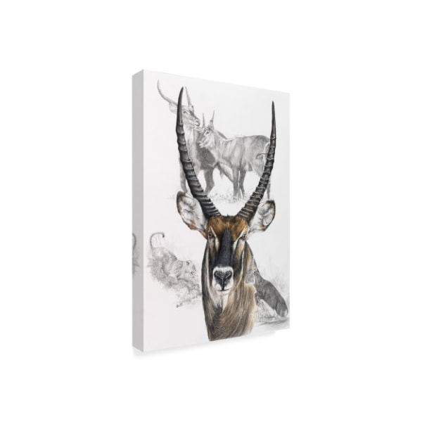 Barbara Keith 'Waterbuck' Canvas Art,22x32